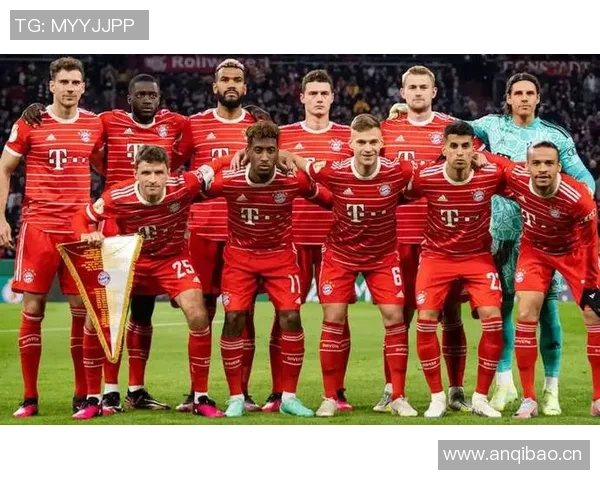 拜仁因球迷在欧冠主场燃放烟花遭欧足联罚款五万欧元