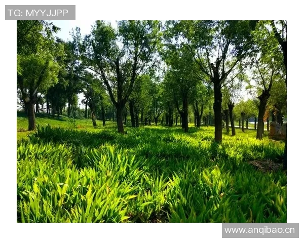 德科祝贺阿尔巴职业生涯圆满结束期待他未来的辉煌成就